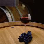 A "Vini nel Mondo" escono allo scoperto gli sciamani del vino