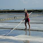 Bernat Soria le quita sal a la vida