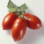 Usa, nasce il pomodoro perfetto