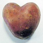 San Valentino, Tesco mette in vendita le patate a forma di cuore