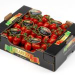 I Solarelli di Apofruit di nuovo in tv con Andy Luotto