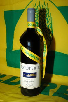 Vino, arriva un nuovo falso Chianti USA: il Key Auntie