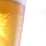 Faggi argentini e mosche: così nacquero le birre lager