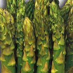 Asparagi: meno glucosio, più protetti dal diabete