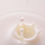 Latte, servono reali interventi a sostegno degli allevatori