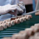 Amorim Cork nella top 50 mondiale delle "aziende verdi"