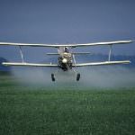 Assofertilizzanti: i fertilizzanti indispensabili per porre fine alla fame nel mondo