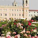 Nel segno del Giglio - 16° Mostra mercato del giardinaggio di qualità