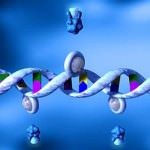 Cancro, create nanoparticelle efficaci come vettori nella terapia genica