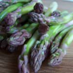 IX Congresso Europeo dell'Asparago: A Granada, in Spagna, dal 21 al 23 di marzo 2012