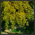 Milano: In occasione dell'8 marzo la "Festa della Donna" si trasforma ne "La Donna nell'Arte"