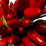 Siena, sapori calabresi alla Fortezza Medicea