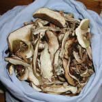 Tacchino con panna e funghi