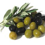 Dalla Maremma l'olio extravergine di Oliva