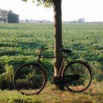 La Cia di Pesaro e Urbino con l'Associazione Turismo Verde presentano la II Edizione de "il Mese dell'Agriturismo"