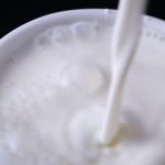 Latte, Abrate: bene il piano di rilancio del Mipaaf