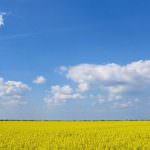 Ambiente, ogni giorno 200 mila mq di pianura Padana coperti dal cemento