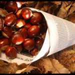 Piemonte: Organizzati incontri con i produttori di castagne per far fronte alla pesante crisi nel settore