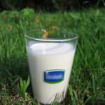 Il latte mantiene giovane il cervello
