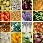 Il ruolo strategico della campania nell'agroalimentare d'eccellenza: ad Avellino convegno internazionale del CNR-Consiglio Nazionale delle Ricerche sui prodotti del Mediterraneo