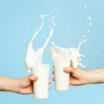 Creato latte di mucca con anticorpi anti AIDS