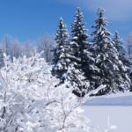 Doppio appuntamento con il Winter Festival: il 12 marzo Bosso e Girotto, il 15 marzo serata-tributo a Jimi Hendrix con Roth e Marcello