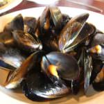 Cozze, nella loro carne frammenti di plastica