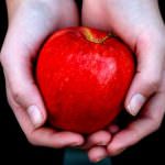 Castellaneta (TA): Terremoto - Solidarietà degli agricoltori jonici