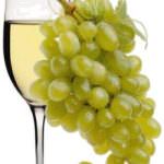 Il miglior vino bianco biologico d'Italia a Vinitaly