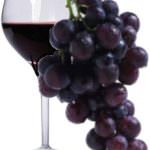 Monte-Carlo Wine Festival