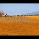 Mangiare bene: la cucina Toscana insegna