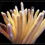 L'Asparago Bianco DOP è ufficialmente «in orbita» le immagini ora disponibili in un «feed» via satellite