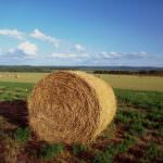 La Provincia di Ragusa alla manifestazione agricola di Cia e Confagricoltrua