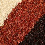 Il colorante per il riso rosso fermentato deve essere autorizzato