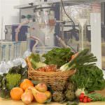 Futuragra: Gravi le conseguenze dello stop alle sperimentazioni Ogm