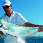 Il pesce azzurro dà alla testa. E anche tanto