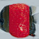 USA, la genetica in tavola