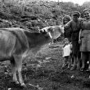 Perché uno spread fra agricoltore Olandese e agricoltore delle Langhe?