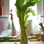 Prezzemolo e sedano, armi contro il cancro al seno