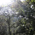 Veneto: Seconda giornata della Biodiversità