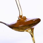 Festival del miele: Convegni, spazi didattici, visite guidate e vendita dei prodotti dell'alveare