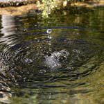 Acqua, caos nei canoni di concessione per i prelievi alla fonte. In Veneto 570 volte più cara che in Puglia