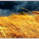 Bologna, 11 Marzo 2010 - Security Food Excellence 2010: Master Sicurezza Alimentare da non perdere!