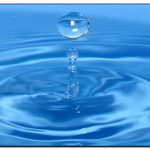 T.V.B. Ti voglio bere. Sull'uso consapevole dell'acqua nelle scuole superiori del Piemonte