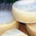 A Gubbio un piacevole intruso, il pecorino sardo