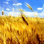 Tutela e assistenza ai cittadini, difesa ambientale, sicurezza alimentare, integrazione e legalità