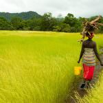 Vertice mondiale: rilanciare l'agricoltura per porre fine alla fame