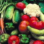 Appuntamento con il Mercato della Terra di Bologna