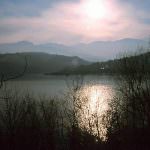 Visita guidata alle Fonti delle Monache e all'osservazione della fauna ittica dei corsi d'acqua senesi