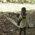 Il mondo "brucerà" 200 milioni di ettari di agricoltura